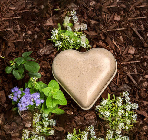 Heart Biodegradable Urn