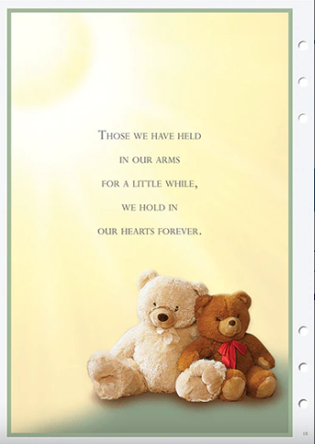 Teddy Register Book