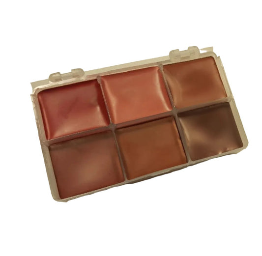 6 in 1 Lip Color Kit