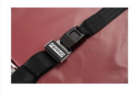 Cot Restraint Straps