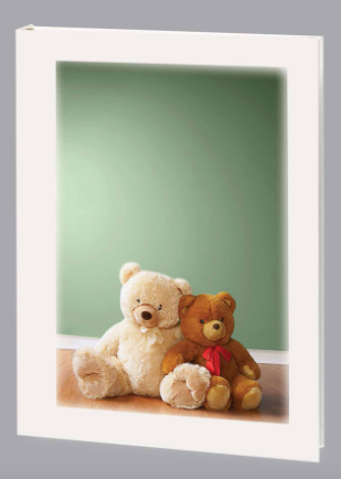 Teddy Register Book