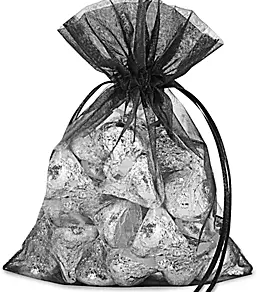 Sheer Drawstring Bag