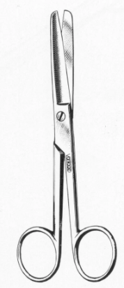Blunt/Blunt Scissor