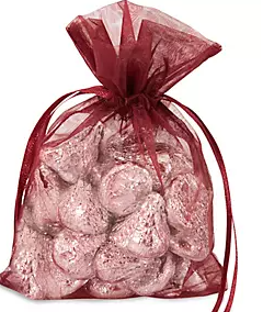 Sheer Drawstring Bag