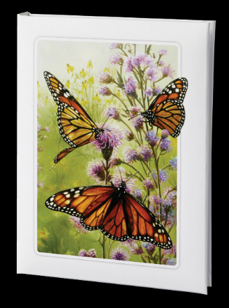 Butterfly Register Book