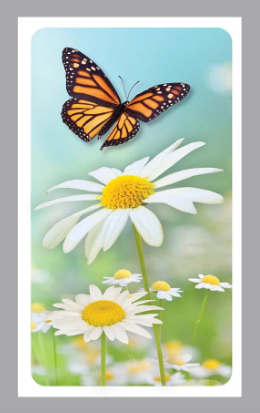 Nature Prayer Card