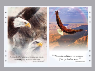 Soaring Eagle Register Book