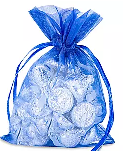 Sheer Drawstring Bag
