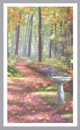 Nature Prayer Card