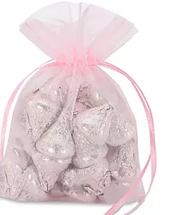 Sheer Drawstring Bag