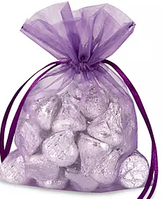 Sheer Drawstring Bag