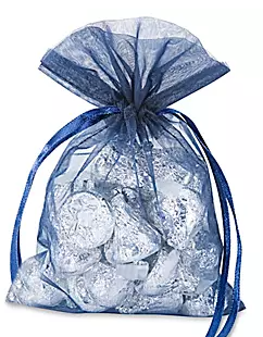 Sheer Drawstring Bag