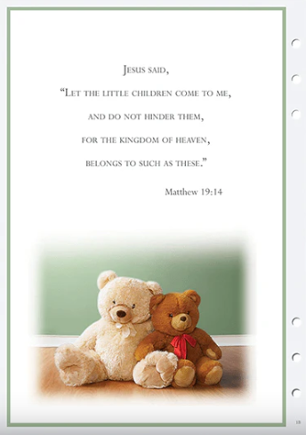 Teddy Register Book