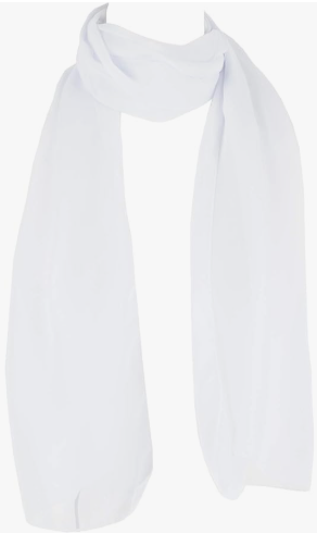 Chiffon Scarf