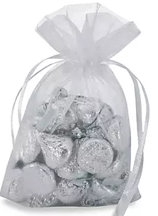 Sheer Drawstring Bag